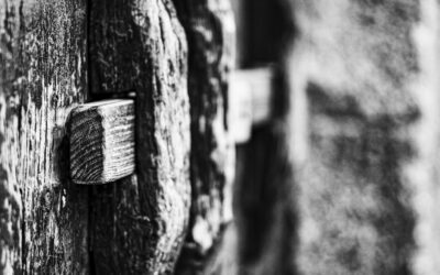 San Martín de Trevejo en Blanco y Negro
