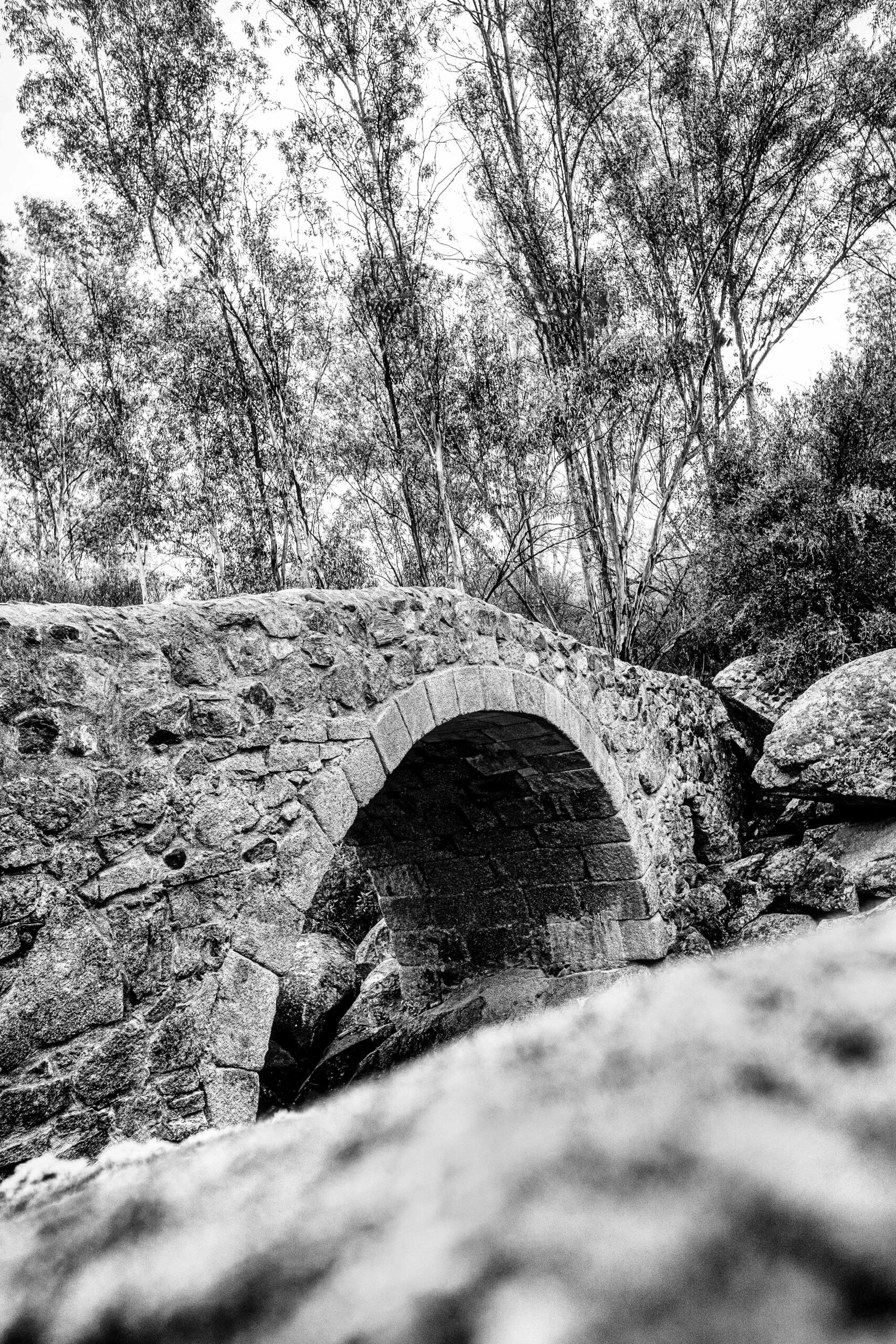 Descubre la serenidad del Puente Pontón de Brovales, un rincón histórico de Extremadura. Esta fotografía en blanco y negro captura la esencia atemporal de su estructura sobre las tranquilas aguas del embalse de Brovales. Por Justo Rivera